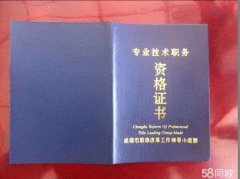 職稱(chēng)代評(píng)-高級(jí)